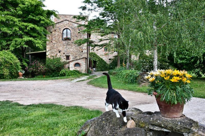 Il Molendino Pisa B&B Кальчи Экстерьер фото