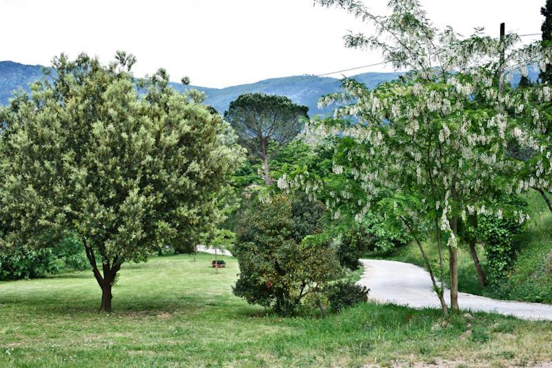 Il Molendino Pisa B&B Кальчи Экстерьер фото