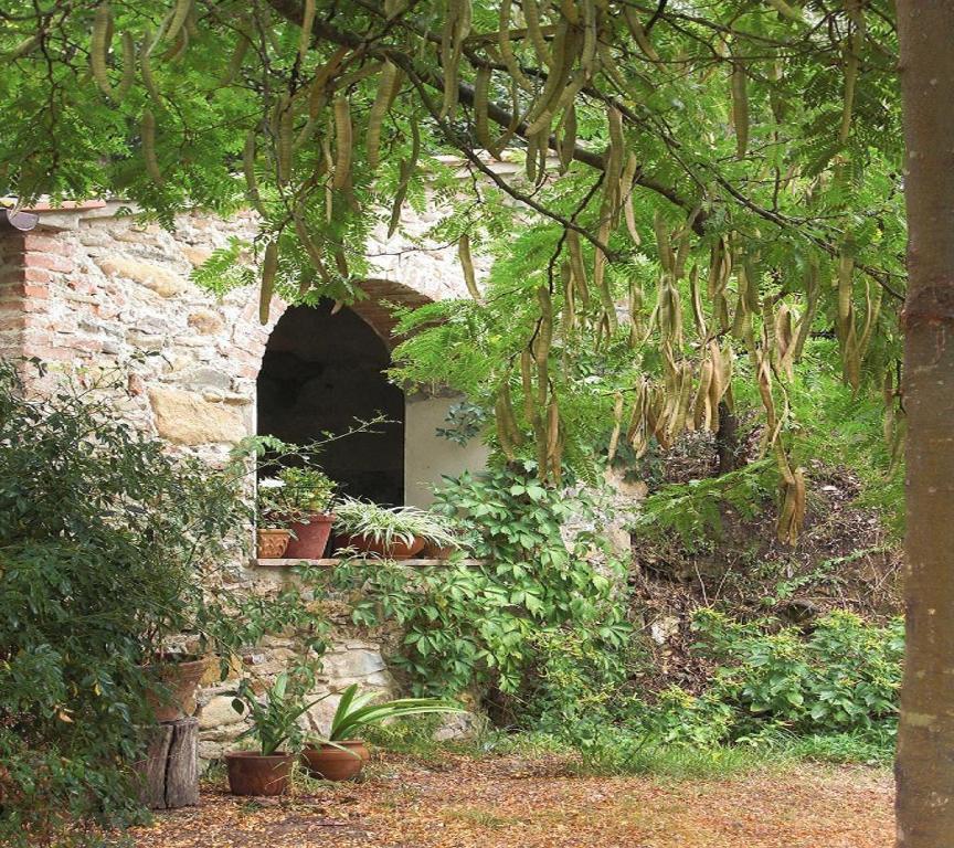 Il Molendino Pisa B&B Кальчи Экстерьер фото