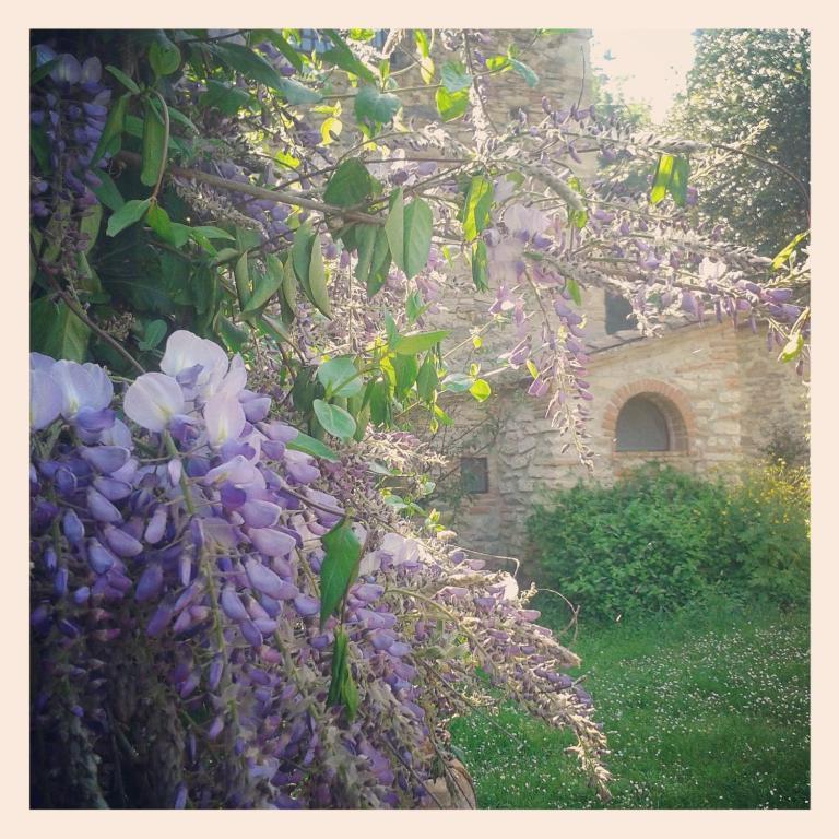 Il Molendino Pisa B&B Кальчи Экстерьер фото